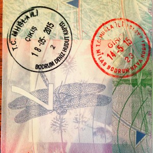 Turkish Visa